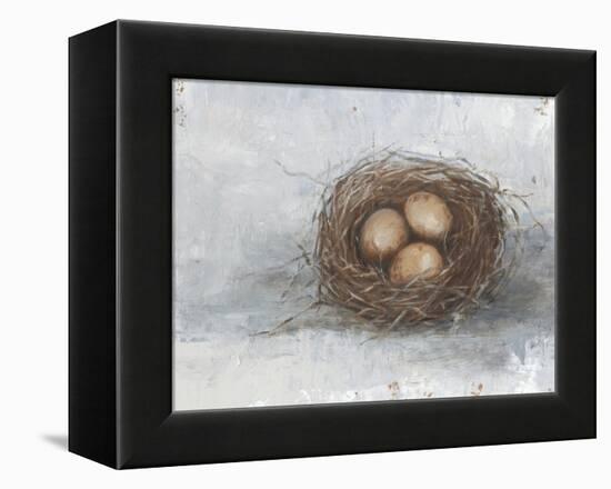 Rustic Bird Nest II-Ethan Harper-Framed Stretched Canvas