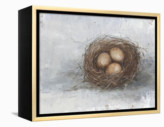 Rustic Bird Nest II-Ethan Harper-Framed Stretched Canvas