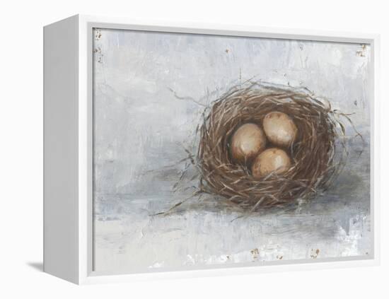 Rustic Bird Nest II-Ethan Harper-Framed Stretched Canvas