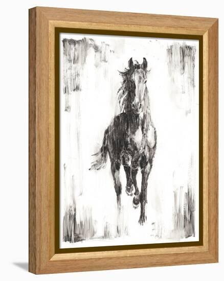 Rustic Black Stallion I-null-Framed Stretched Canvas