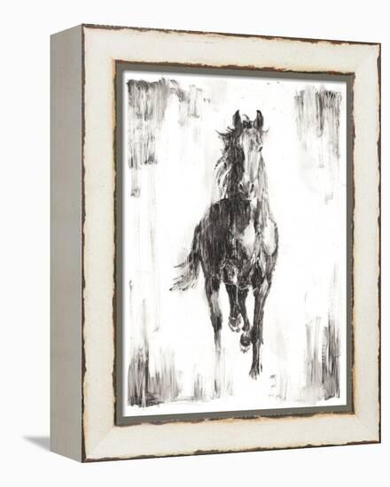 Rustic Black Stallion I-null-Framed Stretched Canvas