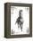 Rustic Black Stallion I-null-Framed Stretched Canvas