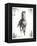 Rustic Black Stallion I-null-Framed Stretched Canvas