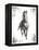 Rustic Black Stallion I-null-Framed Stretched Canvas