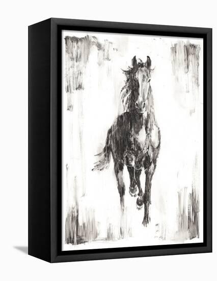 Rustic Black Stallion I-null-Framed Stretched Canvas