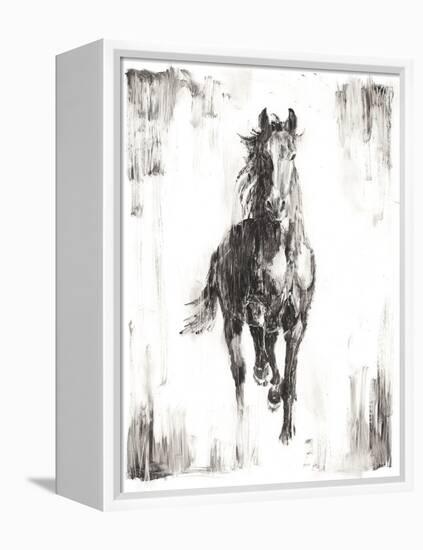 Rustic Black Stallion I-null-Framed Stretched Canvas