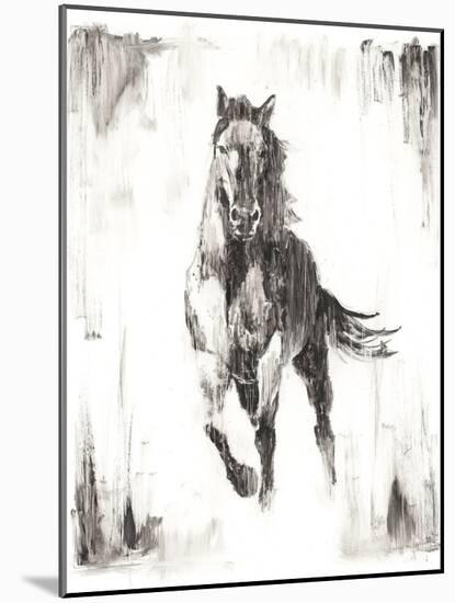 Rustic Black Stallion II-null-Mounted Art Print