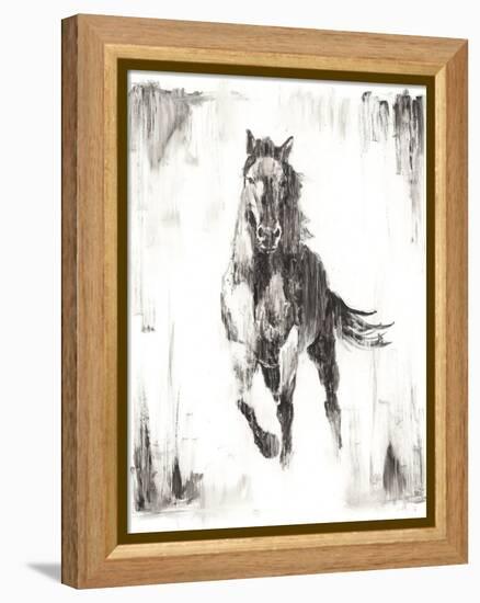Rustic Black Stallion II-null-Framed Stretched Canvas