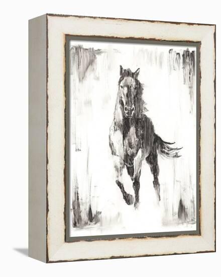 Rustic Black Stallion II-null-Framed Stretched Canvas