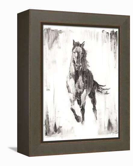 Rustic Black Stallion II-null-Framed Stretched Canvas