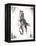 Rustic Black Stallion II-null-Framed Stretched Canvas
