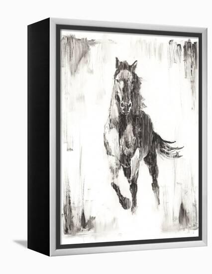 Rustic Black Stallion II-null-Framed Stretched Canvas