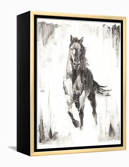 Rustic Black Stallion II-null-Framed Stretched Canvas