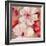 Rustic Blossoms-Jurgen Gottschlag-Framed Art Print