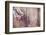 Rustic Country Background-manera-Framed Photographic Print