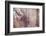 Rustic Country Background-manera-Framed Photographic Print