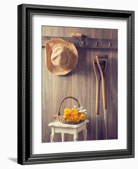 Rustic Country Shed Interior with Freshly Picked Yellow Roses in Basket-Chris_Elwell-Framed Photographic Print