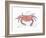 Rustic Crab-Sudi Mccollum-Framed Art Print