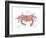 Rustic Crab-Sudi Mccollum-Framed Art Print