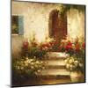 Rustic Doorway I-David Lakewood-Mounted Art Print