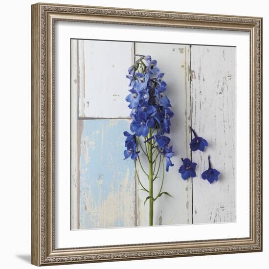 Rustic Floral-Camille Soulayrol-Framed Giclee Print