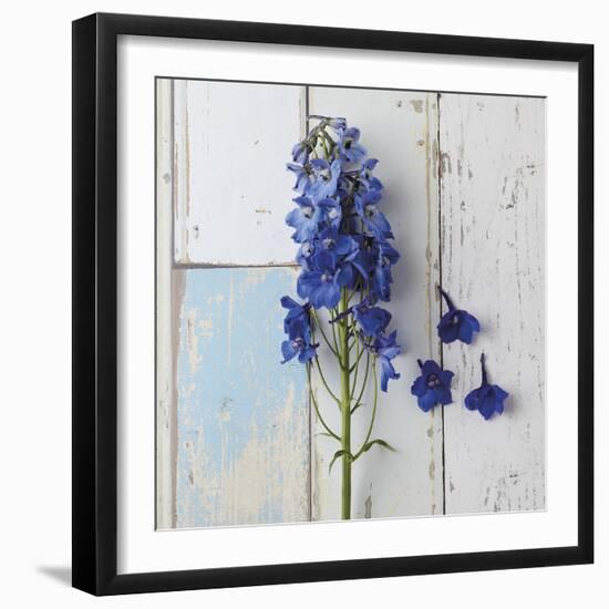 Rustic Floral-Camille Soulayrol-Framed Giclee Print