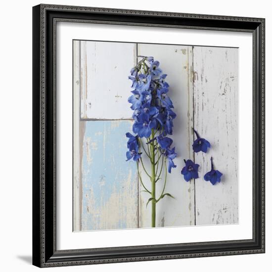 Rustic Floral-Camille Soulayrol-Framed Giclee Print