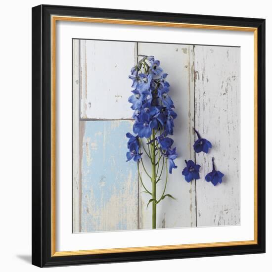 Rustic Floral-Camille Soulayrol-Framed Giclee Print