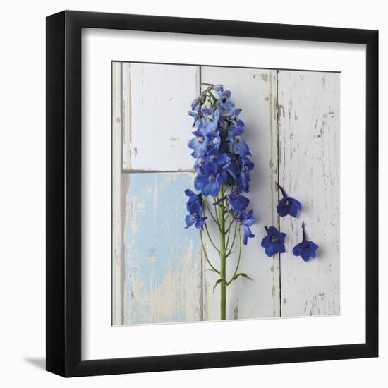 Rustic Floral-Camille Soulayrol-Framed Giclee Print