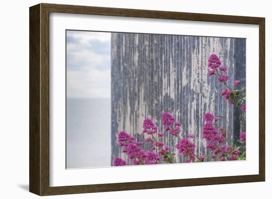 Rustic Focus - Floral-Alan Copson-Framed Giclee Print