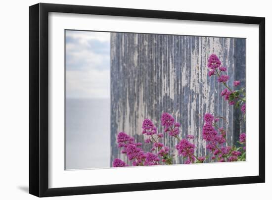 Rustic Focus - Floral-Alan Copson-Framed Giclee Print