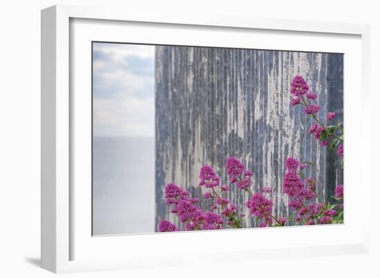 Rustic Focus - Floral-Alan Copson-Framed Giclee Print