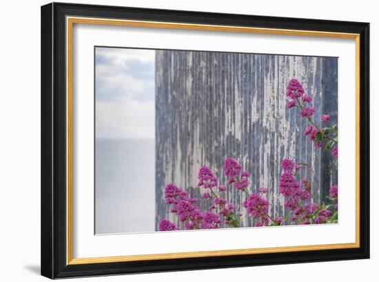 Rustic Focus - Floral-Alan Copson-Framed Giclee Print