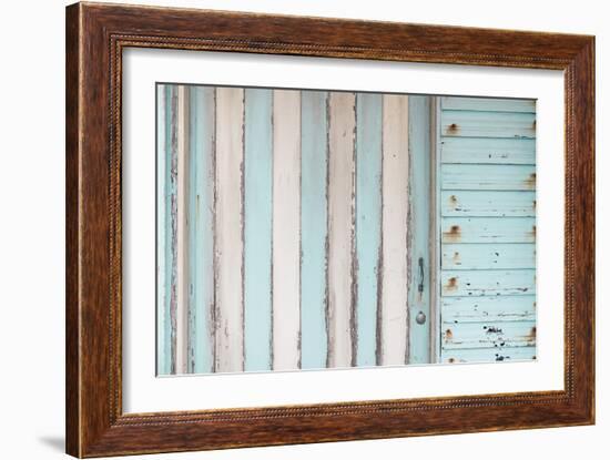 Rustic Focus - Stripe-Alan Copson-Framed Giclee Print