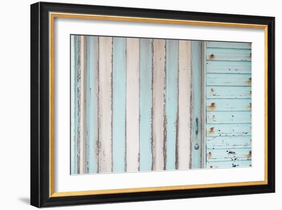 Rustic Focus - Stripe-Alan Copson-Framed Giclee Print