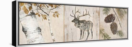 Rustic Forest Panel-Arnie Fisk-Framed Stretched Canvas