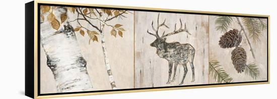 Rustic Forest Panel-Arnie Fisk-Framed Stretched Canvas