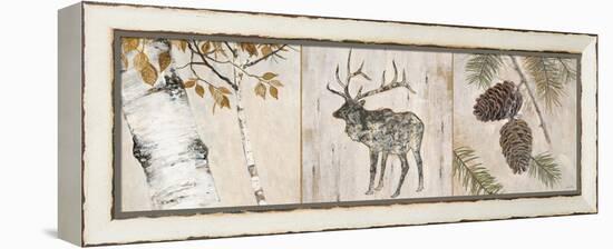 Rustic Forest Panel-Arnie Fisk-Framed Stretched Canvas