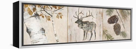 Rustic Forest Panel-Arnie Fisk-Framed Stretched Canvas