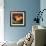 Rustic Fruit II-Ethan Harper-Framed Premium Giclee Print displayed on a wall