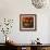 Rustic Fruit III-Ethan Harper-Framed Premium Giclee Print displayed on a wall