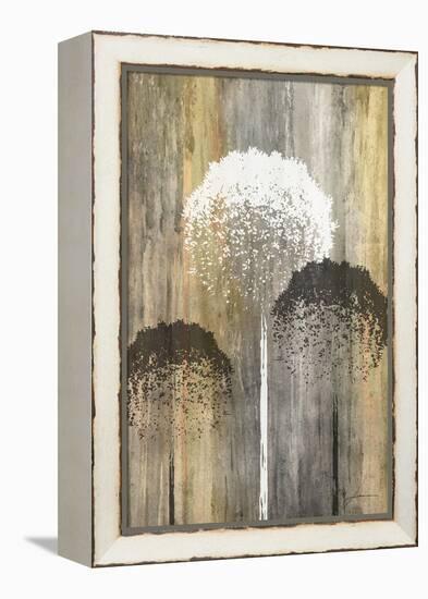 Rustic Garden I-James Burghardt-Framed Stretched Canvas