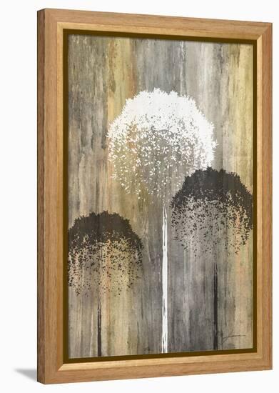 Rustic Garden I-James Burghardt-Framed Stretched Canvas