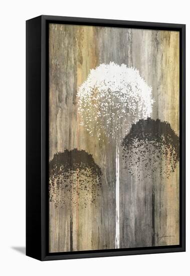 Rustic Garden I-James Burghardt-Framed Stretched Canvas