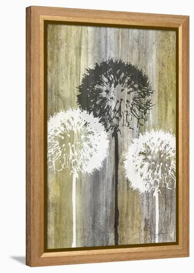 Rustic Garden II-James Burghardt-Framed Stretched Canvas