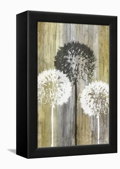 Rustic Garden II-James Burghardt-Framed Stretched Canvas