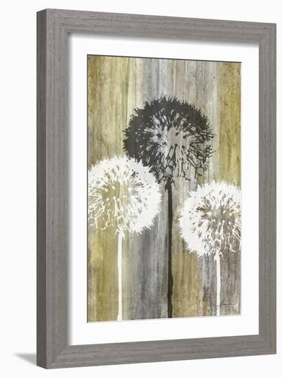 Rustic Garden II-James Burghardt-Framed Art Print