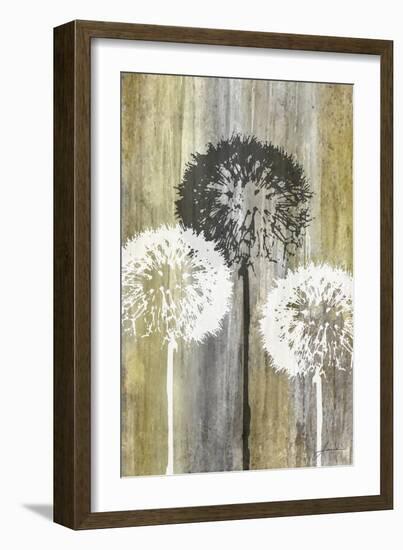 Rustic Garden II-James Burghardt-Framed Art Print