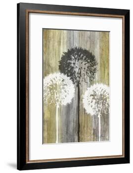 Rustic Garden II-James Burghardt-Framed Art Print