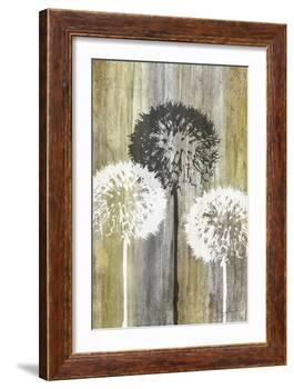 Rustic Garden II-James Burghardt-Framed Art Print
